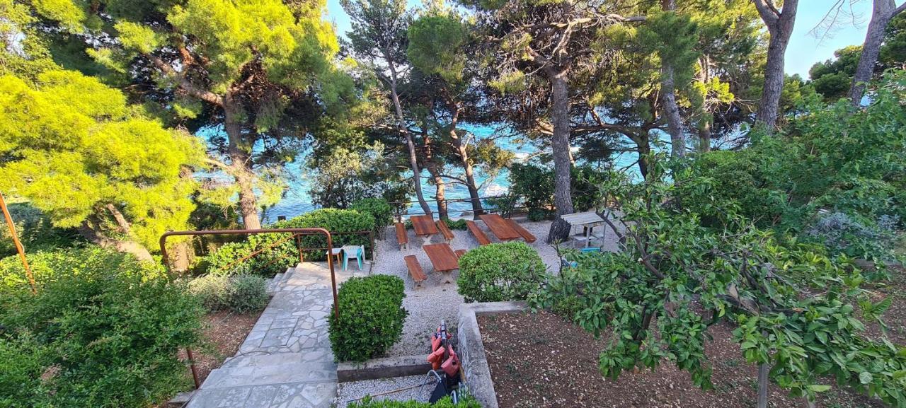 Apartments By The Sea Orebic, Peljesac - 16648 المظهر الخارجي الصورة